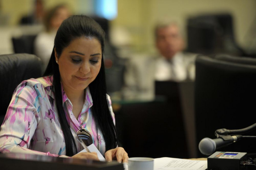 Deputada Cantora Mara Lima (PSDB).