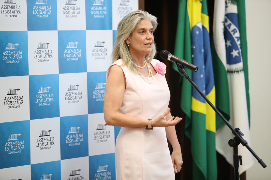Ângela Hilgemberg Zanlorenzi, presidente da Rede Feminina de Combate ao Câncer (RFCC).