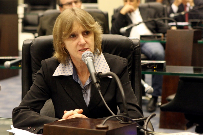 Deputada Luciana Rafagnin  (PT)