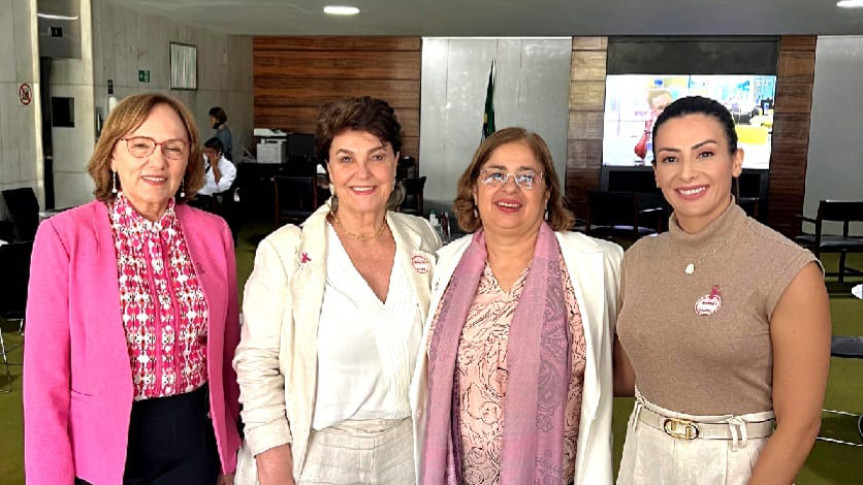 As deputadas estaduais Cristina Silvestri (PSDB) e Mabel Canto (PSDB) estiveram em Brasília, nesta terça-feira (3).