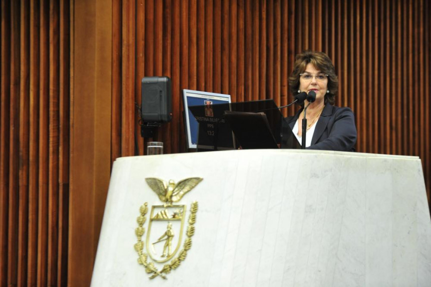 Deputada Cristina Silvestri (PPS) propõe a realização de audiência pública para debater a concessão dos aeroportos do "Bloco Sul" proposta pelo Governo Federal.