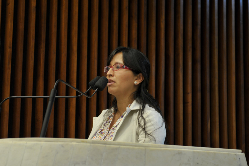 Na tribuna da sessão plenária desta segunda (22) na Alep, jornalista Sandra Terena, presidente da ONG Aldeia Brasil.