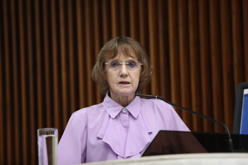 Deputada Luciana Rafagnin (PT).