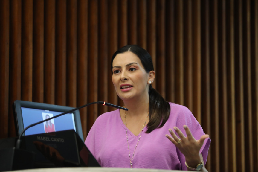 A deputada estadual Mabel Canto (PSDB) é líder da Bancada Feminina do Legislativo Paranaense.