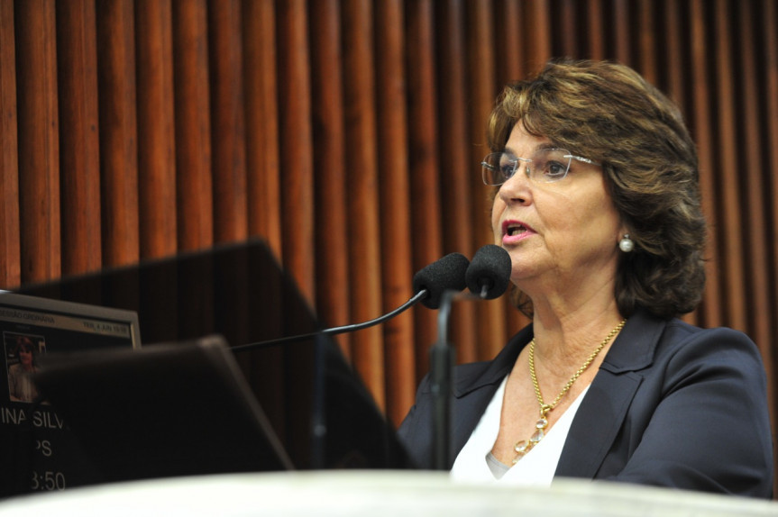 Deputada Cristina Silvestri (CDN).