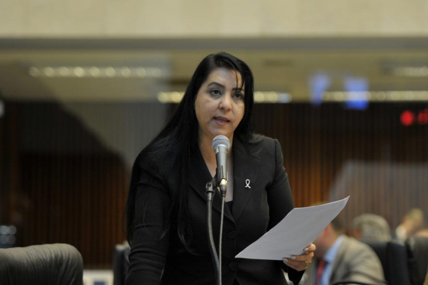Deputada Cantora Mara Lima (PSDB).
