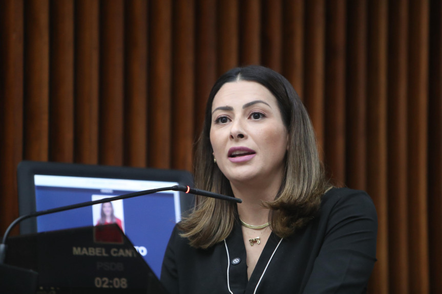 Deputada Mabel Canto (PSDB).