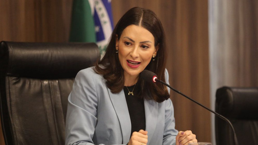 Deputada Mabel Canto (PP).