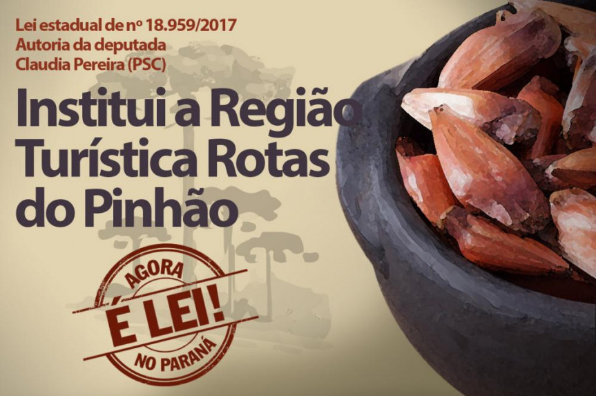 Agora é lei!