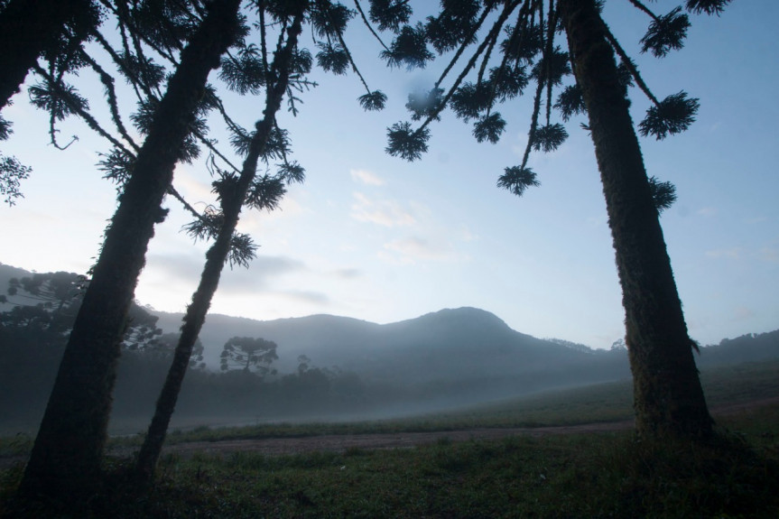 A audiência pública on-line “Parques Estaduais Serra da Baitaca, Pico do Paraná e Pico do Marumbi” acontece nesta quinta-feira (27) a partir das 9h30 com transmissão pela TV Assembleia..