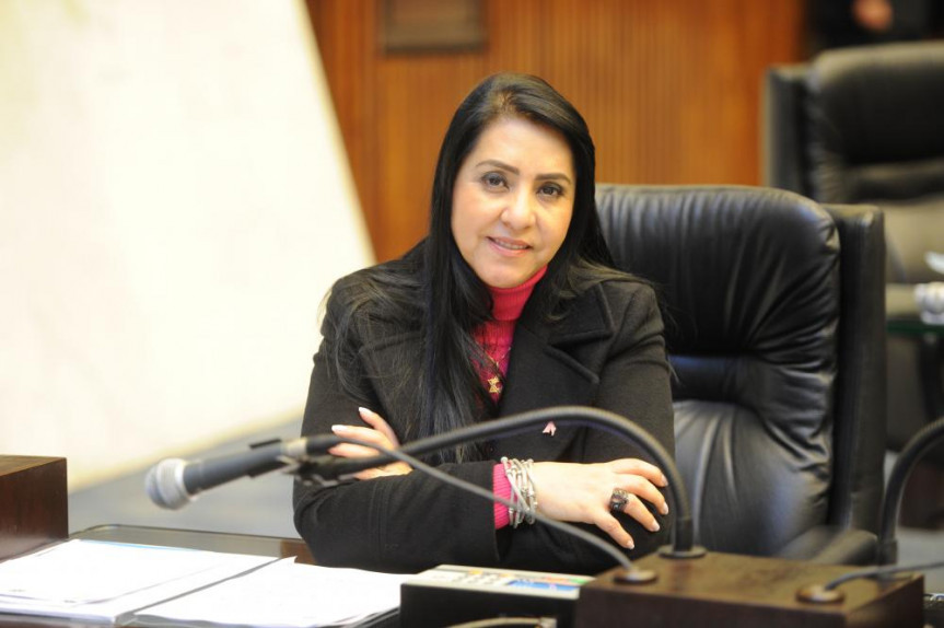 Deputada Mara Lima ( PSDB).