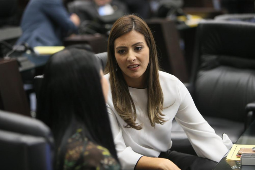 O projeto do deputado Delegado Recalcatti (PSD) teve como relatora a deputada Mabel Canto (PSC).