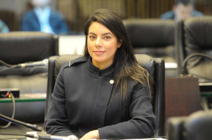 Deputada Claudia Pereira (PSC). 