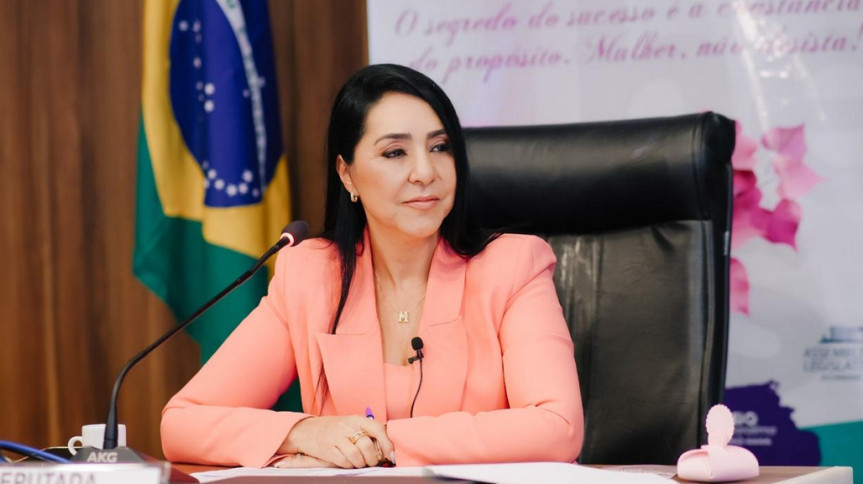 "Sem resgate para todos, dezenas de bebês e crianças estão sendo levados para abrigos sem os pais. Muitas delas estão sendo acompanhadas por voluntários das igrejas e defesa civil. Mas outras tantas crianças estão largadas à própria sorte, correndo o risco, inclusive, de serem levadas por criminosos e abusadores", afirmou a deputada.