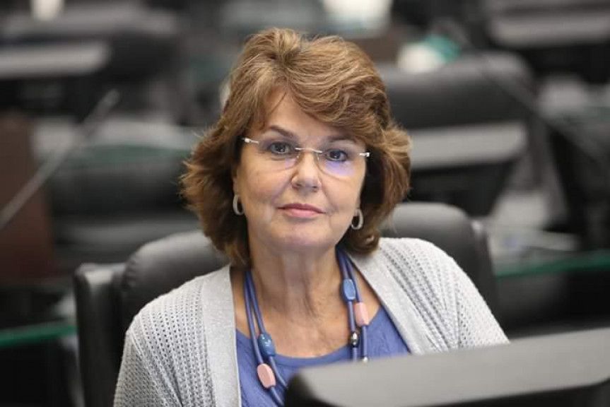 Deputada Cristina Silvestri (CDN), procuradora da Mulher na Assembleia Legislativa do Paraná.