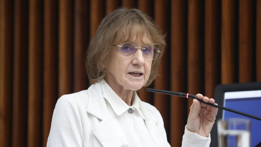 Deputada Luciana Rafagnin (PT).