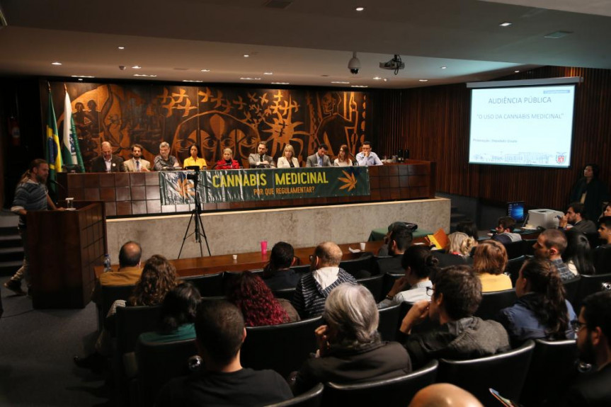 Audiência pública proposta pelo deputado Goura (PDT) reuniu especialistas da Saúde e do Direito que falaram do uso terapêutico da Cannabis.