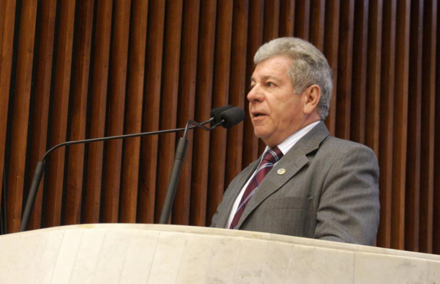 Deputado Fernando Scanavaca (PDT).