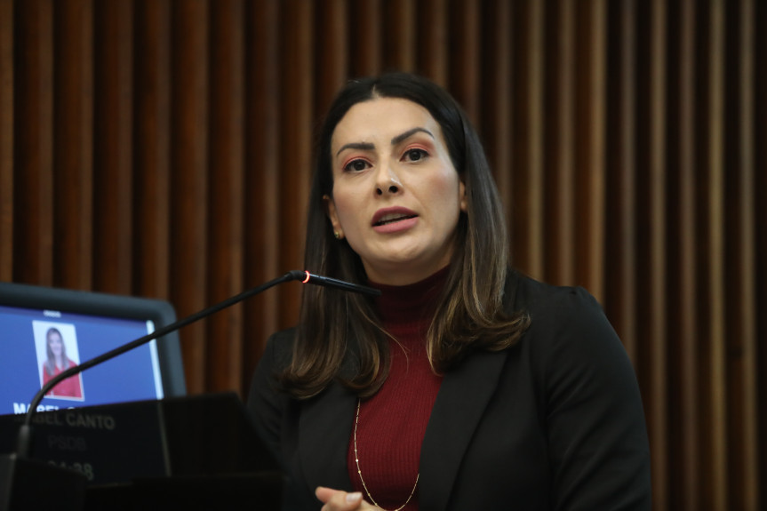 A deputada Mabel Canto (PSDB) também assina a proposição.