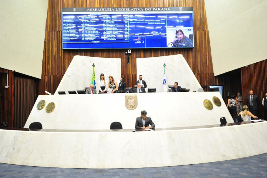 Debates e pronunciamentos sobre diversos temas movimentaram a sessão plenária.