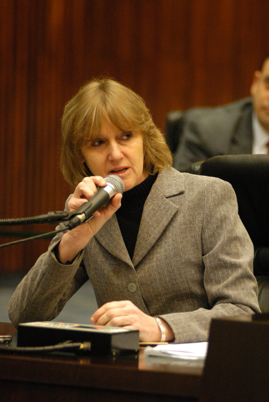 Deputada Luciana Rafagnin (PT).