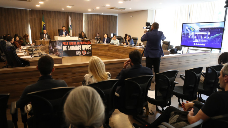 Audiência ocorreu no Auditório Legislativo, na manhã desta segunda-feira (13).