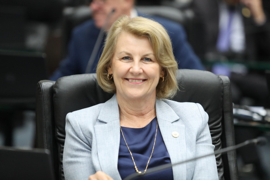 Deputada Márcia Huçulak (PSD).