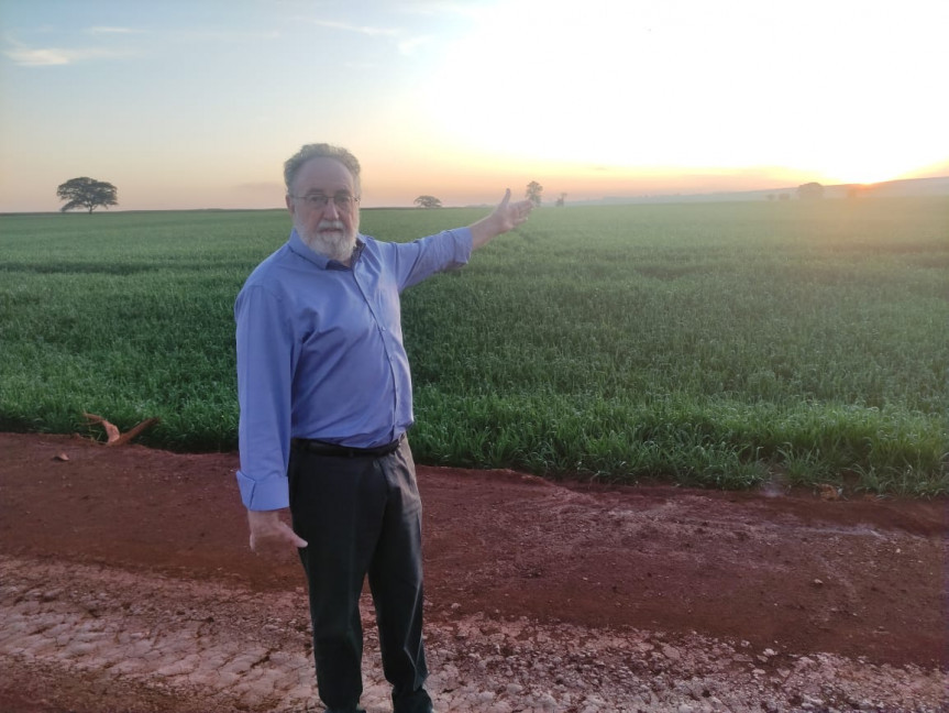 Deputado Tercilio Turini, que propôs homenagem ao IDR-Iapar-Emater com outros parlamentares, ao lado de lavoura no Norte do Paraná.