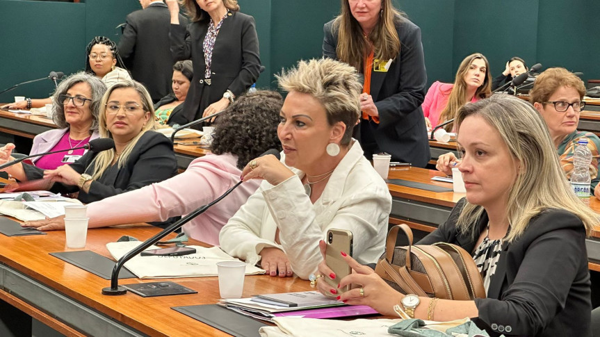 A Procuradora Especial da Mulher da Assembleia Legislativa do Paraná, deputada Cloara Pinheiro (PSD), participou do encontro e reforçou a importância de o trabalho ser realizado de forma conjunta entre as Procuradorias, seja pelas nacionais, estaduais ou municipais.