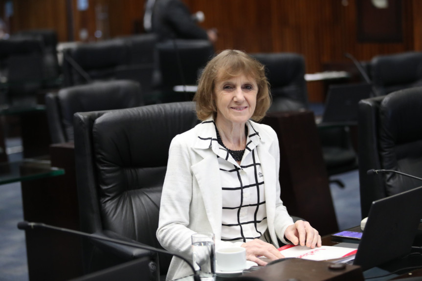 Deputada Luciana Rafagnin (PT).