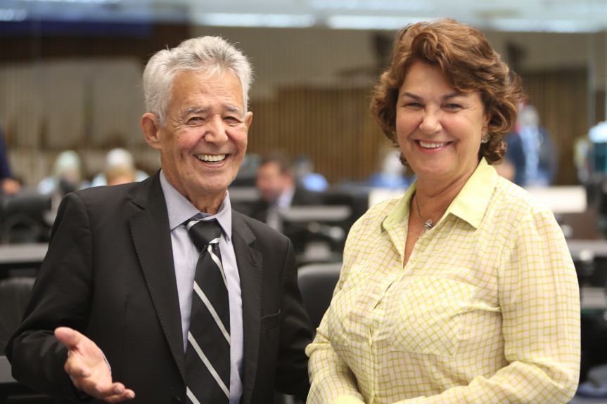 Projetos dos deputados Luiz Carlos Martins (PP) e Cristina Silvestri (CDN) que tratam da defesa dos direitos das mulheres foram aprovados na sessão desta segunda-feira (10).