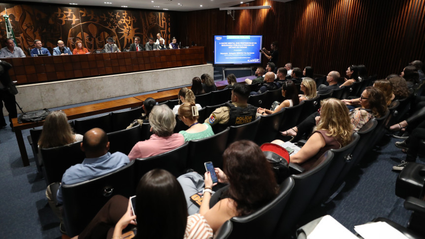 Audiência pública foi realizada no Plenarinho da Assembleia.