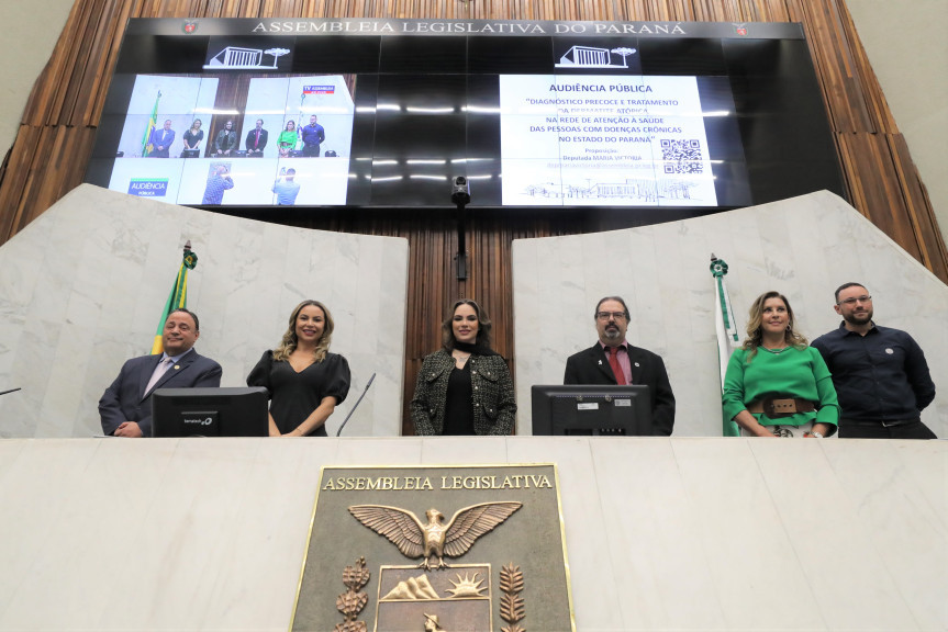 Audiência ocorreu no Plenário da Assembleia Legislativa na manhã desta segunda-feira (18).