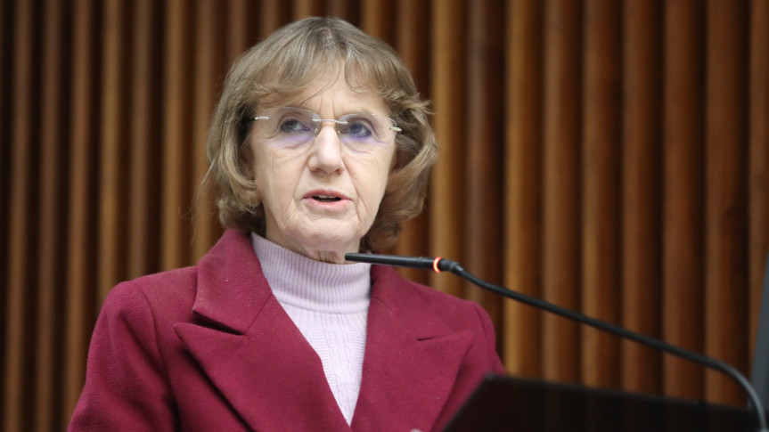 Deputada Luciana Rafagnin (PT).