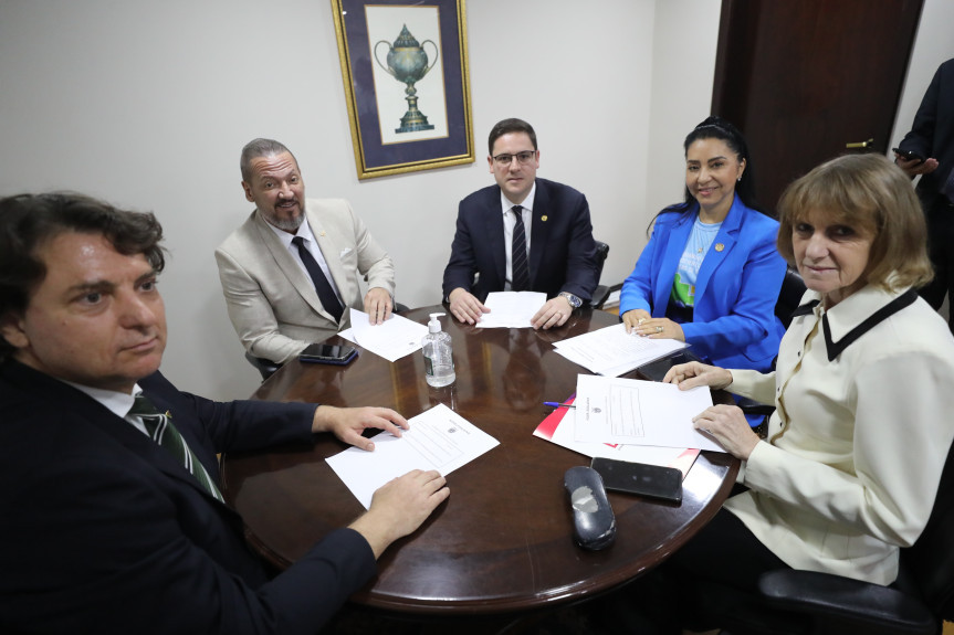 No encontro, o grupo de trabalho deliberou sobre dois projetos de lei.