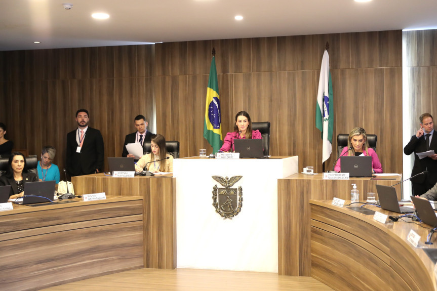 A reunião foi presidida pela deputada Mabel Canto (PSDB) e a deputada Flávia Francischini (União Brasil) ocupou o cargo de vice-presidente.