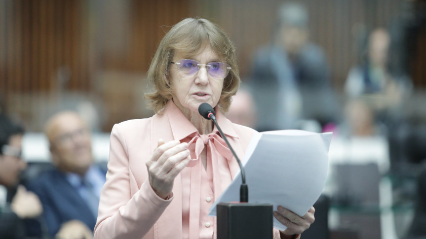 Deputada Luciana Rafagnin (PT).