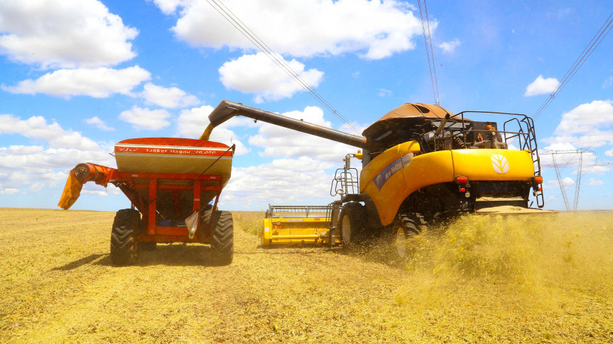 O projeto de lei abre espaço para que o Estado estimule e organize o uso de soluções de Inteligência Artificial aplicadas à logística rural.