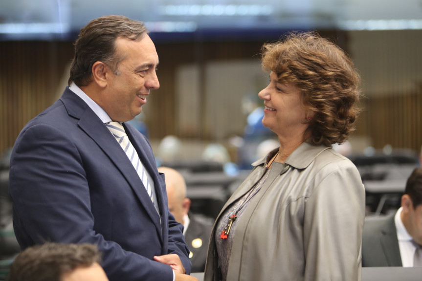 Projetos dos deputados Delegado Francischini e Cristina Silvestri são aprovados em redação final na sessão desta segunda-feira (02).