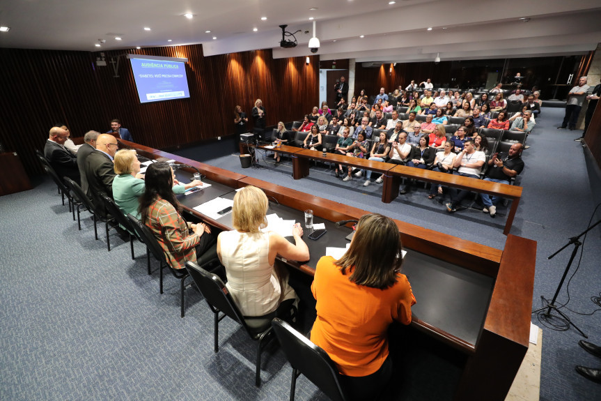 Audiência lotou o Plenarinho da Assembleia Legislativa na tarde desta quarta-feira (29).