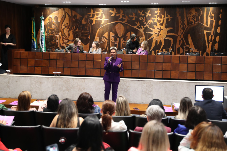 O 5º Encontro das Procuradorias Especiais da Mulher ocorreu no Plenarinho da Casa ao longo de toda esta quinta-feira (25).