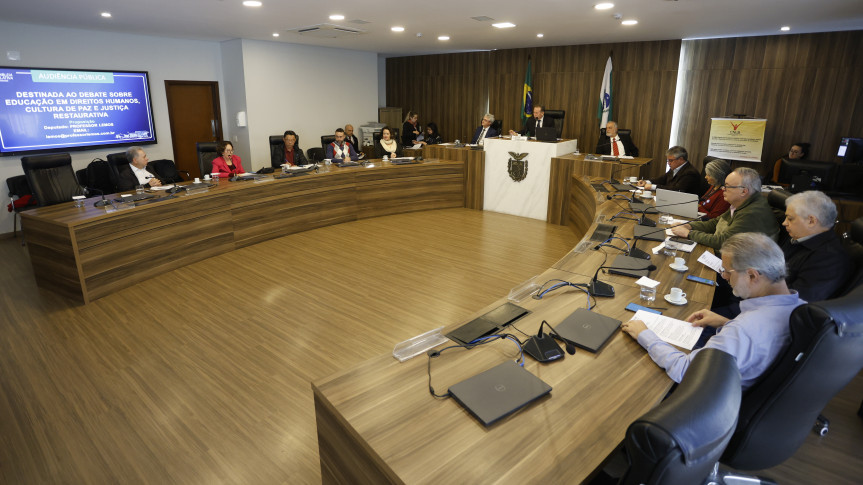 Audiência ocorreu no Auditório Legislativo, na manhã desta terça-feira (5).