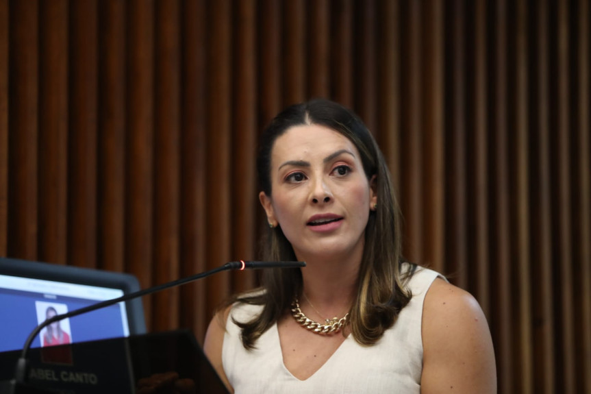 A deputada Mabel Canto celebrou a promulgação.