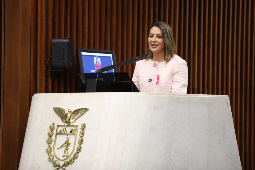 Deputada Mabel Canto (PSC).