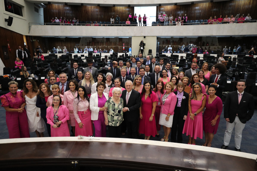 Premiação foi entregue durante o Grande Expediente da sessão plenária desta quarta-feira (8).