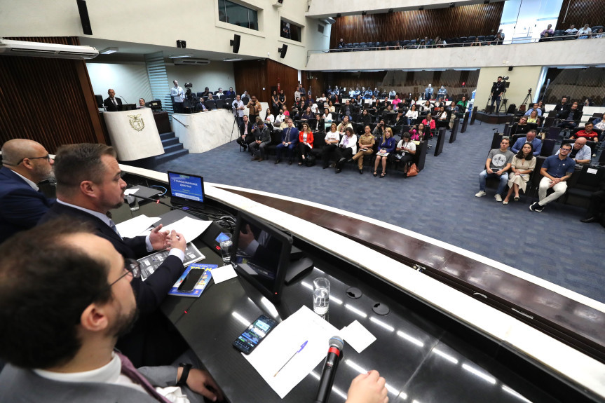 Audiência ocorreu no Plenário da Assembleia Legislativa na manhã desta terça-feira (21).