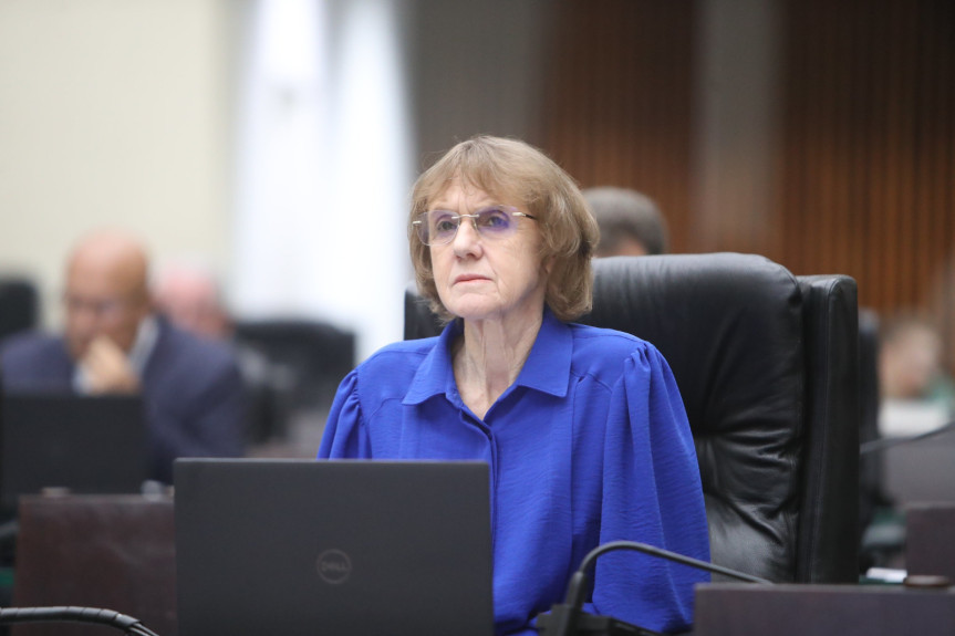 Deputada Luciana Rafagnin (PT).