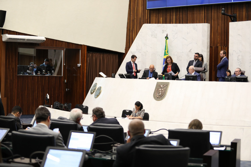 Durante a sessão plenária de segunda-feira (10) será entregue o título de tidadão Honorário do Estado ao desembargador Carlos Eduardo Thompson Flores Lenz.