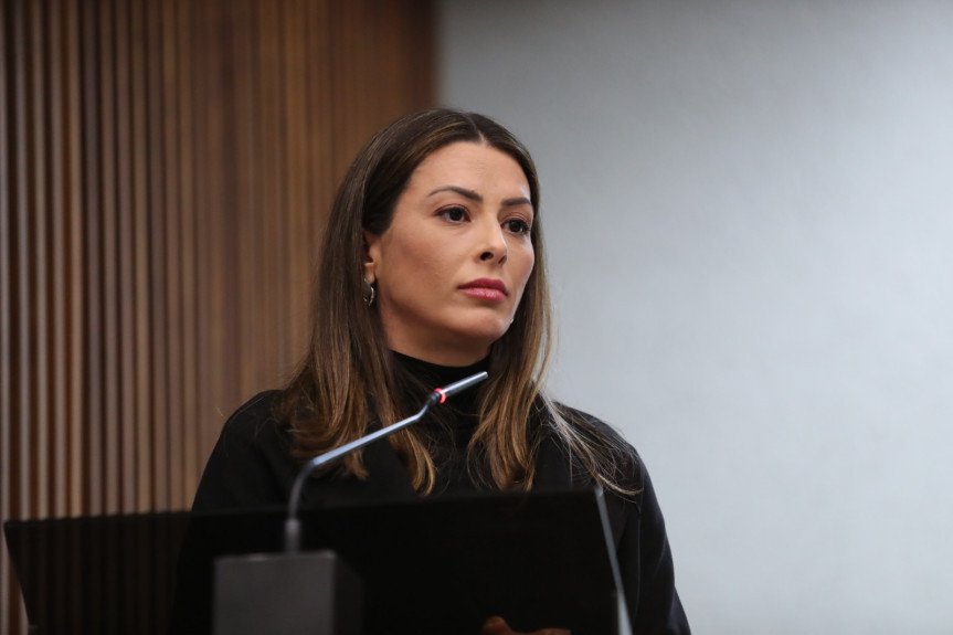 Deputada Mabel Canto (PSDB) se pronunciou na sessão plenária de segunda-feira (8).