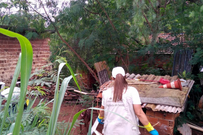 Inspeções nos municípios para levantamento do índice de infestação nos domicílios é uma das determinações da lei que estabelece medidas de combate à dengue.